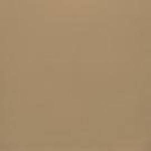 Picture of American Crafts Smooth Cardstock 12" x 12" - Dark Kraft