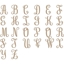 Εικόνα του Spellbinders Glimmer Hot Foil Plates - Μήτρες Χρυσοτυπίας - Elegant Monograms, 26τεμ.