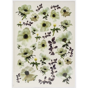 Picture of Dress My Craft Transfer Me Φύλλο Μεταφοράς Εικόνας Α4 - White Anemone Flowers