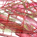 Picture of 49 And Market Filmstrip Frames Πλαίσια με Διακοσμητικά Φιλμ  -  ARToptions, Rouge, 30τεμ.