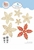 Picture of Elizabeth Craft Designs Cutting Dies - Joyous Christmas, Lace Flowers, 6pcs