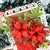 Picture of Elizabeth Craft Designs Cutting Dies - Joyous Christmas, Florals 29, 11pcs