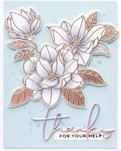 Picture of Spellbinders Etched Dies Μήτρες Κοπής - Magnolia Blooms, 2τεμ.