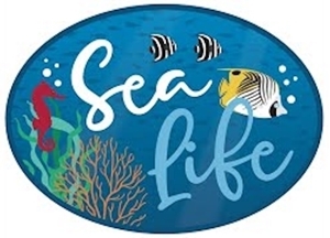 Picture of Echo Park Scrapbooking Collection - Sea Life