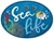 Picture of Echo Park Scrapbooking Collection - Sea Life