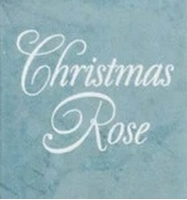 Picture for category Christmas Rose