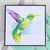 Picture of Sizzix Layered Στένσιλ Σετ  by Olivia Rose 6" X 6" - Hummingbird, 4τεμ.