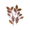 Picture of Μεταλλικά Διακοσμητικά Finnabair Mechanicals - Woodland Leaves
