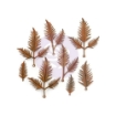 Picture of Μεταλλικά Διακοσμητικά Finnabair Mechanicals - Woodland Ferns