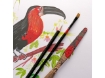 Picture of Clairefontaine Μπλοκ Ζωγραφικής PaintOn Multi-Technique Pad - White Smooth A4
