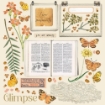 Picture of 49 And Market Collection Pack 12"X12" Συλλογή Scrapbooking  - Vintage Artistry Wedgewood