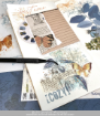 Picture of 49 And Market Collection Pack 12"X12" Συλλογή Scrapbooking  - Vintage Artistry Wedgewood