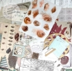 Picture of 49 And Market Vintage Artistry Shore Ephemera Stacks, 34τεμ
