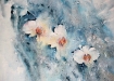 Picture of Daniel Smith Jean Haines All That Shimmers - Σετ Χρώματα Ακουαρέλας, 6τεμ.