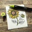 Picture of Spectrum Noir Triblend Markers Μαρκαδόρος Οινοπνεύματος 3 σε 1 - Citrus Green Blend (CG1 CG2 CG3)