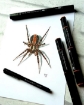 Picture of Spectrum Noir Triblend Markers Μαρκαδόρος Οινοπνεύματος 3 σε 1 - Earth Brown Shade (EB5 EB6 EB7)