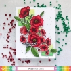 Picture of Waffle Flower Crafts Σετ Διάφανες Σφραγίδες 4"X6" -  Poppy Hawthorn, 6 τεμ