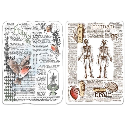 Picture of Ciao Bella Stamping Art Διάφανες Σφραγίδες 4" X 6" - Human & Nature, Sign Of The Times, 2τεμ.