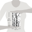 Picture of Ciao Bella Art Texture Στένσιλ 5"X8" - Birch Trees