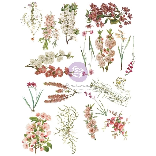 Picture of Prima Marketing Sharon Ziv Rub-On Transfers 8.5"X11" - Φύλλα Μεταφοράς -  Bloom, 4τεμ