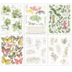 Picture of 49 & Market Rub-Ons Φύλλα Μεταφοράς Εικόνας 15 x 20 cm - Vintage Artistry Naturalist, 6τεμ