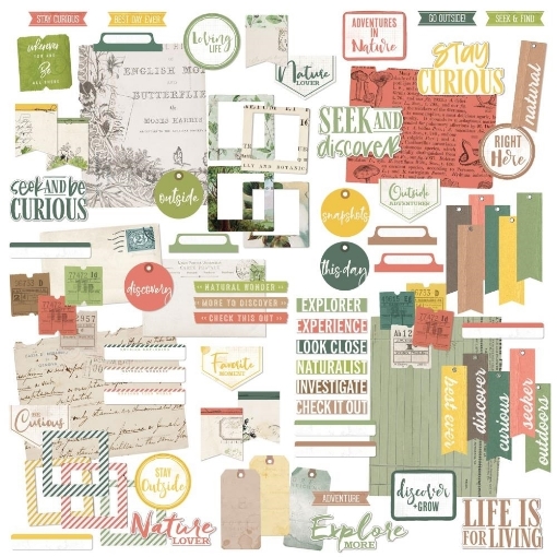 Picture of 49 & Market Ephemera Bits Διακοσμητικά Εφήμερα  - Vintage Artistry Naturalist