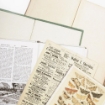 Picture of 49 & Market Διακοσμητικά Bookplates - Vintage Artistry Naturalist, 17 τεμ.