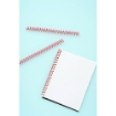 Picture of  We R Memory Keepers Cinch Binding Spiral Wire Σπιράλ Βιβλιοδεσίας 1" - Κόκκινο, 2τμχ.