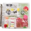 Picture of Totally Tiffany ScrapRack Expanding Project Planner - Θήκες Οργάνωσης Συλλογών Scrapbooking - Σετ 5τμχ