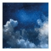 Picture of Studio Light Μπλοκ Scrapbooking Μονής Όψης 6"x6" - NR. 22 Moon Flower  