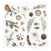 Picture of Studio Light Cardstock Ephemera Μπλοκ με Διακοσμητικά Die-Cuts - Winter Elements, Winter Garden Nr. 22