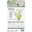 Picture of Studio Light Winter Garden Snowdrops Nr.158 | Διάφανες Σφραγίδες 6 τεμ.