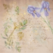 Picture of Crafter's Companion Vellum Pad 8'' x 8'' - Secret Garden