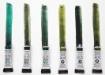 Picture of Daniel Smith Jean Haines Green with Envy Watercolor Set 285610346 – Artist Σετ Ακουαρέλας Πράσινων Αποχρώσεων, 6 Χρώματα
