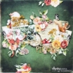 Picture of Mintay Papers Συλλογή Scrapbooking 12''x12'' - Botany