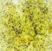 Picture of Creative Expressions Cosmic Shimmer Pixie Burst Χρωστική σε Σκόνη -  Firefly Glow, 20ml
