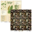 Picture of Mintay Papers Μπλοκ Scrapbooking Διπλής Όψης 6" x 6" - Botany