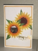 Picture of Spellbinders Glimmer Foil - Ρολά Θερμικού Foil Χρυσοτυπίας, Variety Pack, 4τεμ.