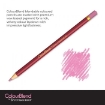 Picture of Spectrum Noir ColourBlend Pencils Μολύβια - Naturals 