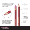 Picture of Spectrum Noir ColourBlend Pencils Μολύβια - Naturals 