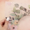 Picture of BoBunny Acetate Specialty Paper 12"X12" -  Ειδικό Χαρτί, Willow & Sage