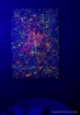 Picture of Deco Art Black Light Neon Acrylic Paint Pack - Ακρυλικά Φωσφοριζέ Μαύρου Φωτός
