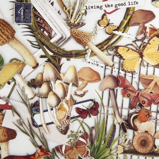 Picture of 49 And Market Laser Cut Διακοσμητικά - Curators Meadow, Elements