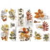 Picture of Prima Re-Design Decor Transfers 6"X12" - Φύλλα Μεταφοράς Εικόνας - Foliage Collector, 3τεμ