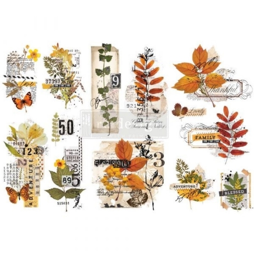 Picture of Prima Re-Design Decor Transfers 6"X12" - Φύλλα Μεταφοράς Εικόνας - Foliage Collector, 3τεμ