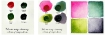 Picture of Daniel Smith Extra Fine Watercolors Dot Card Κάρτα Δοκιμής - Confetti, 36 Χρώματα