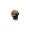 Picture of Tim Holtz Idea-Ology Resin Skulls Διακοσμητικά Κρανία - Halloween, 6 τεμ. 