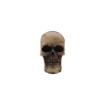 Picture of Tim Holtz Idea-Ology Resin Skulls Διακοσμητικά Κρανία - Halloween, 6 τεμ. 