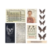 Picture of Tim Holtz Idea-Ology Transparencies Διάφανα Διακοσμητικά - Halloween, 11 τεμ.