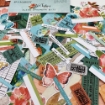 Picture of 49 And Market Διακοσμητικά Ephemera Bits - ARToptions, Alena, 71 Τεμ.